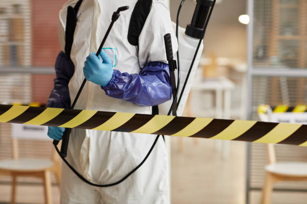 Professional Sewage Cleanup technician working in Centereach, NY
